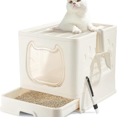 Cat Litter Box with Lid, Covered Top Entry Kitten Litter Pan for Small and Medium Cats, Anti-Splashing Kitty Potty with Slide-Out Litter Tray
