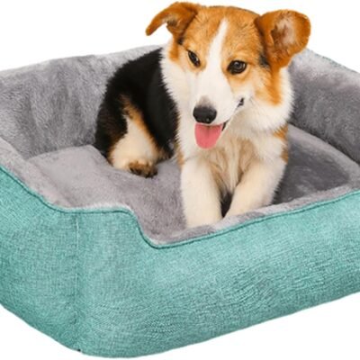 Dog Beds for Medium Dogs, Washable Dog Bed Comfortable and Breathable Pet Bed Rectangle Warming Dog Bed for Medium Dogs (Green,Small)
